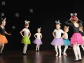 IMG-20231214-WA0028