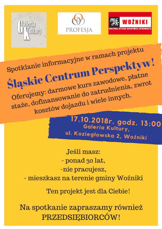 Śląskie Centrum Perspektyw